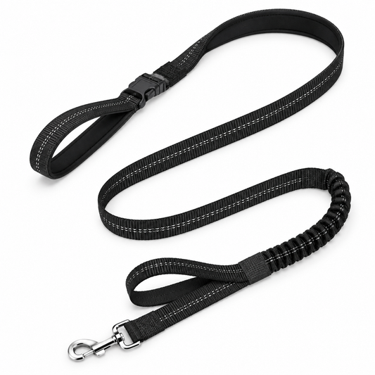 Reflective Dual-Handle Elastic Pet Leash