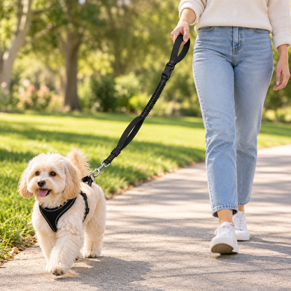 Reflective Dual-Handle Elastic Pet Leash